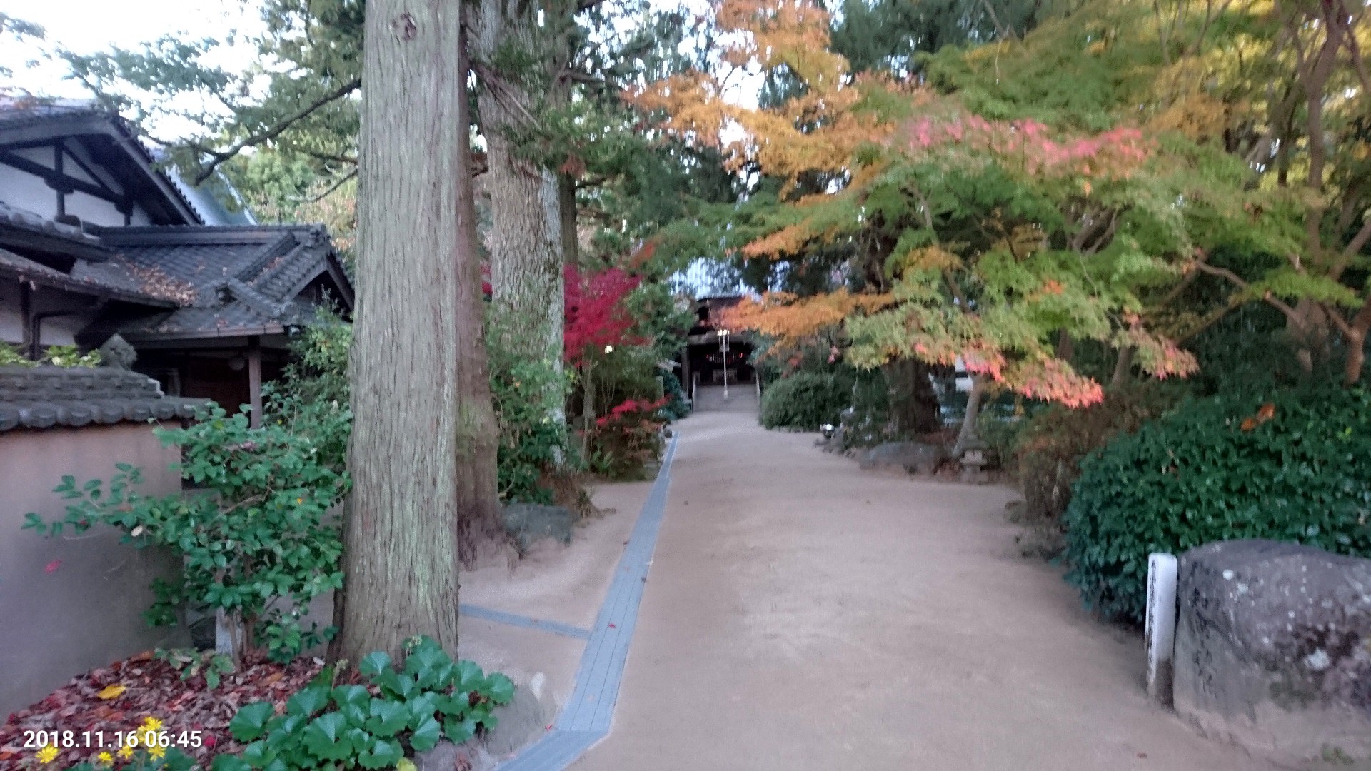 C360_2018-11-16-06-45-09-012