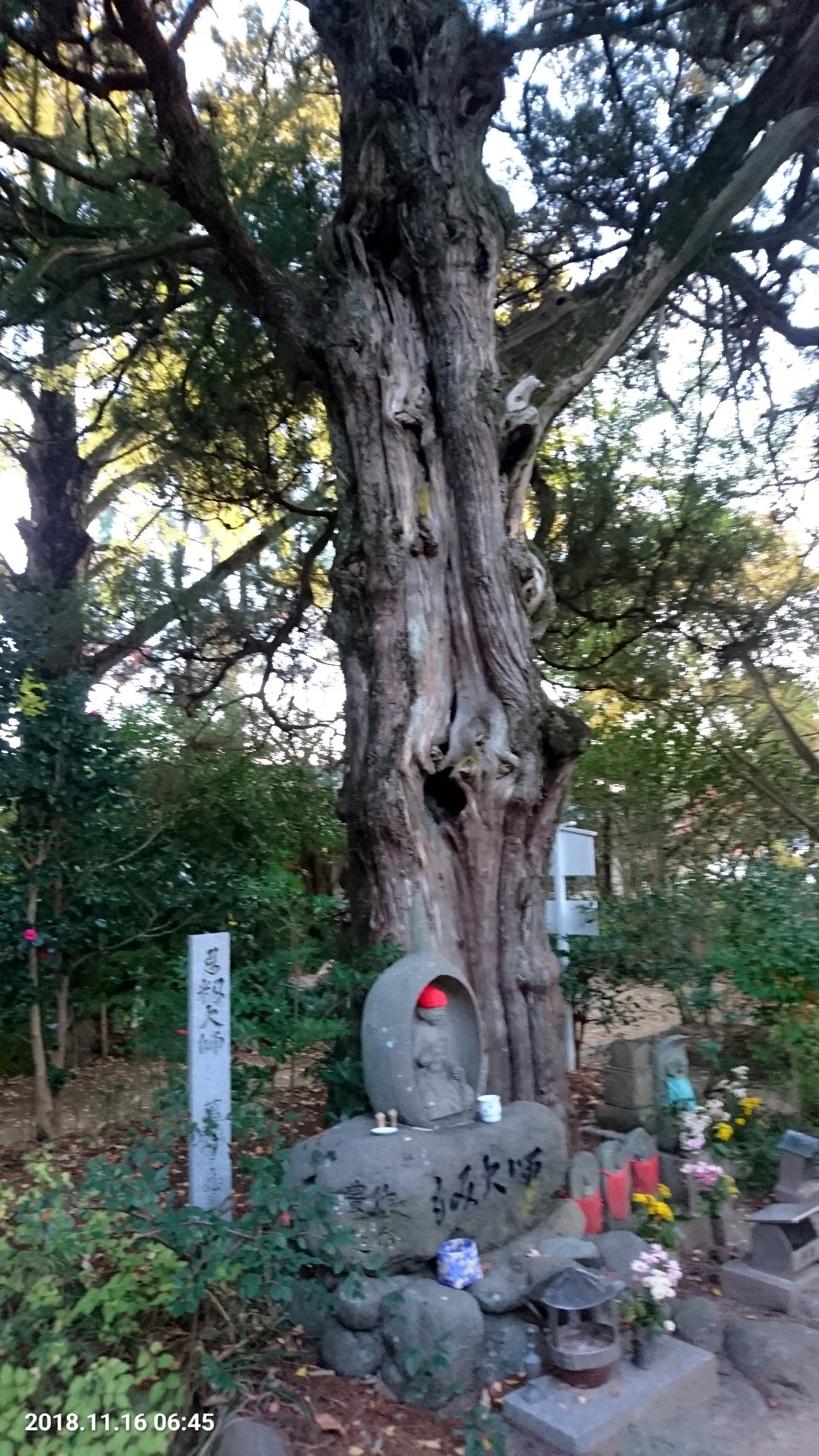 C360_2018-11-16-06-45-41-531