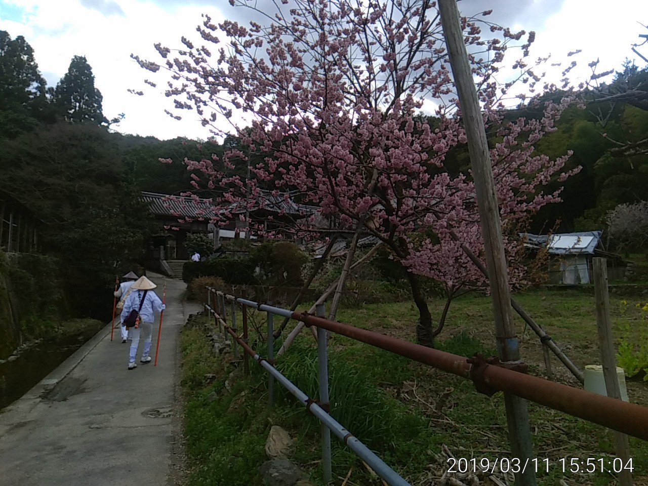 IMG_20190311_155104