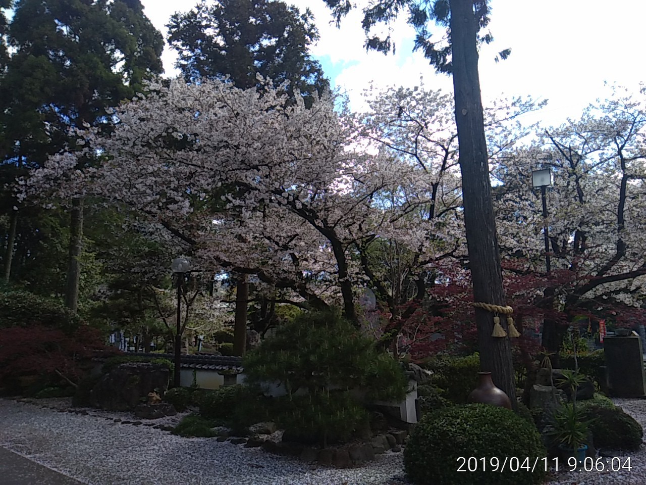 IMG_20190411_090604