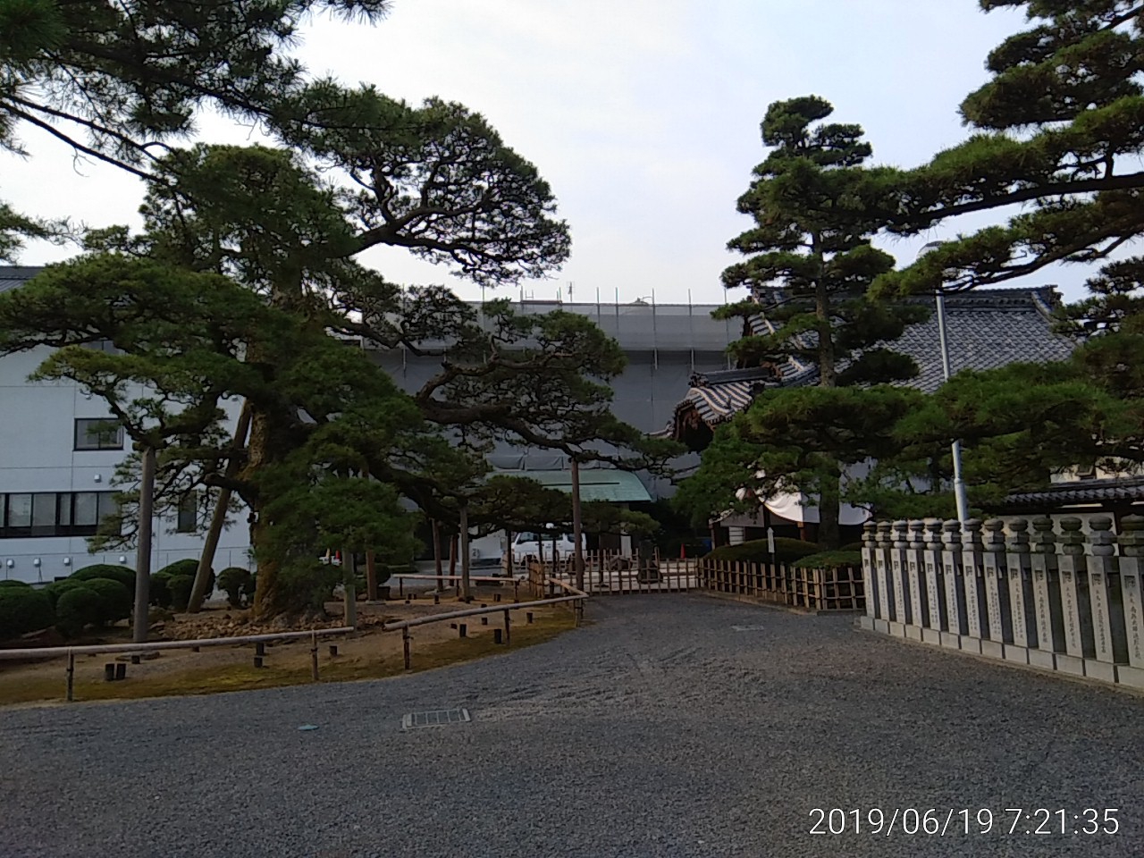 IMG_20190619_072135