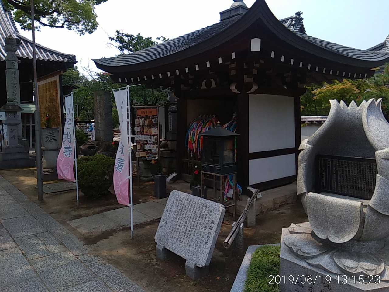IMG_20190619_131523