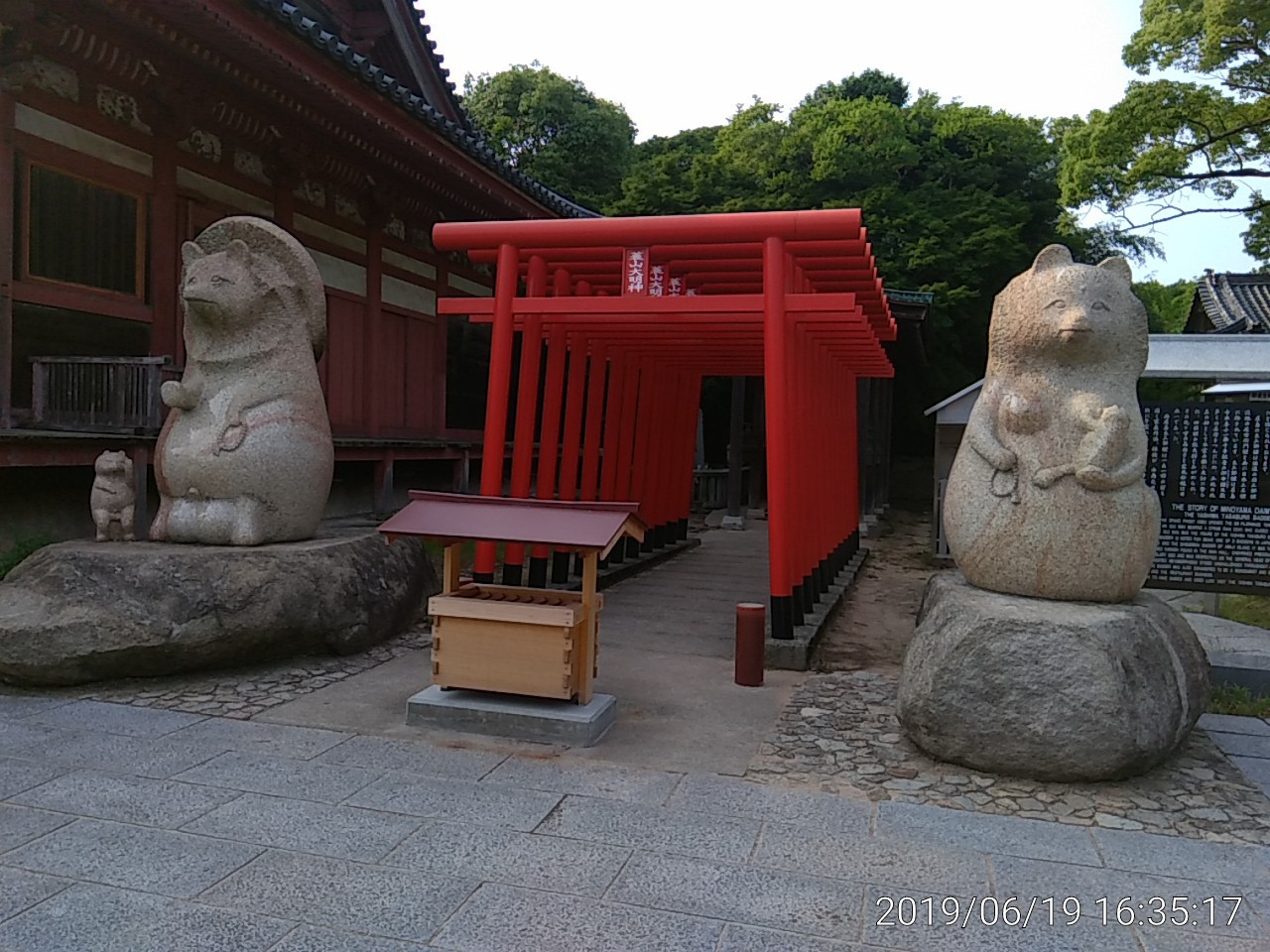 IMG_20190619_163517