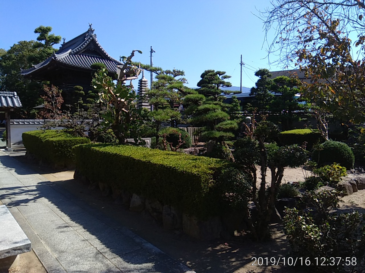 IMG_20191016_123758