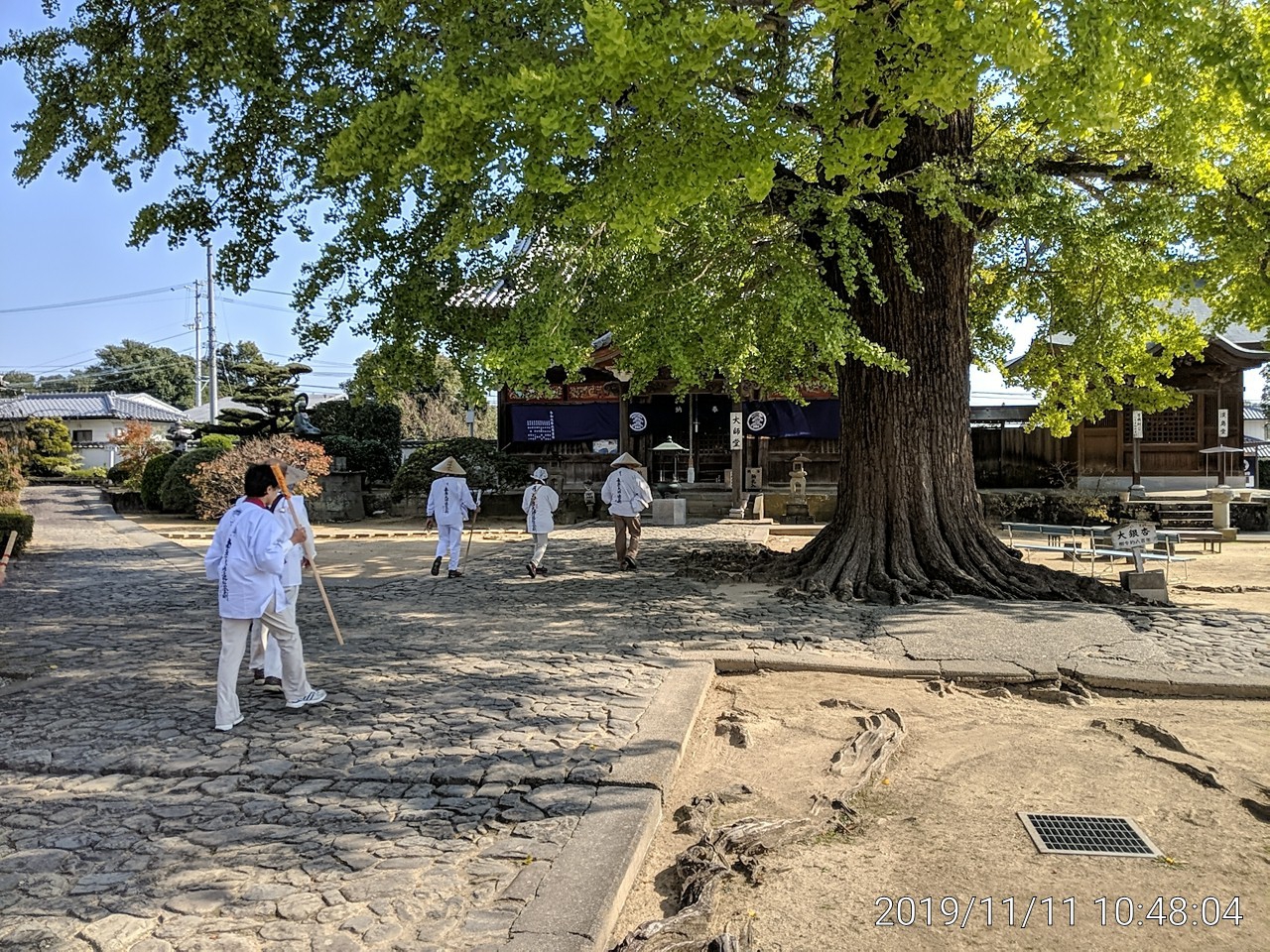 IMG_20191111_104804