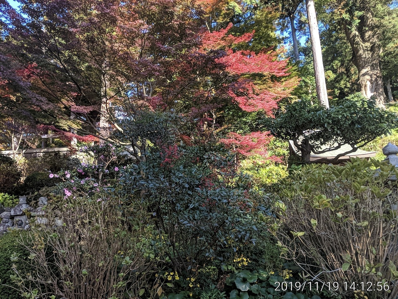 IMG_20191119_141256