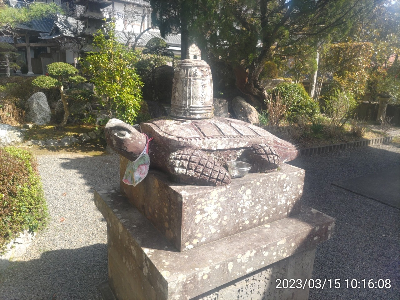IMG_20230315_101608